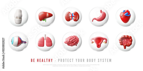Be healthy protect your body system 3D vector banner, heart, bones, lungs, gut, stomach, brain and uterus internal organ