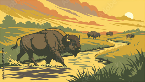 Majestic American Buffalo Herd Walking River at Golden Sunset on Wild Prairie Vector Art for Wildlife Conservation and Travel Marketing