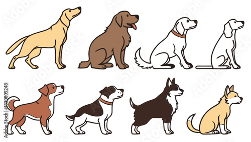 Diverse Dog Breeds Sitting and Standing for Pet Care Marketing, Veterinary Services, Animal Adoption Campaigns, Web Design, and Content Creation
