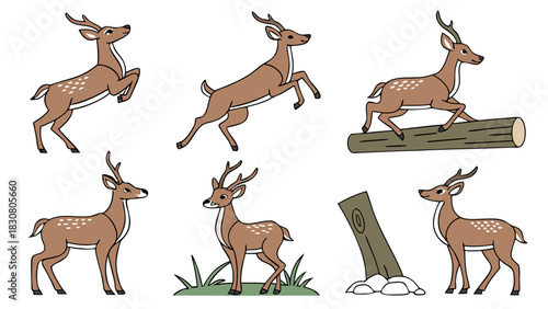 Graceful Deer Illustrations for Nature Websites, Wildlife Education, and Children's Books; Dynamic Forest Animals for Outdoor Adventures and Eco-Friendly Brands