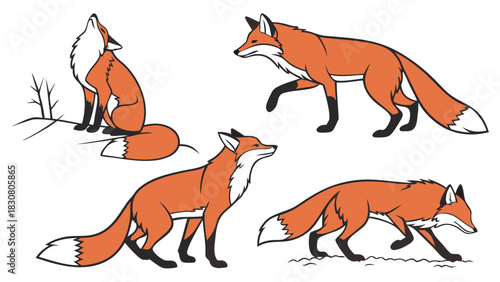 Agile Foxes Hunting in Snowy Forest, Wildlife Photography for Nature Lovers, Outdoor Adventure, Winter Scene, Dynamic Animal Action