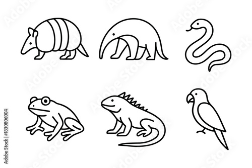 Vector Illustration of Various Animals: Armadillo, Anteater, Snake, Frog, Iguana, Parrot