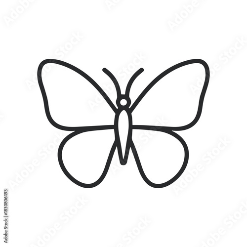 Butterfly Vector Illustration