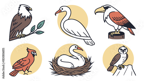 Diverse Birds Collection for Nature Education, Wildlife Design, and Eco-Friendly Branding Projects Inspiring Wonder and Connection