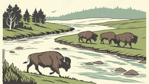 Majestic Bison Roaming Wild Plains Near Winding River, Symbolizing Freedom Nature Conservation Wildlife Tourism Adventure Exploration