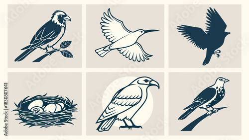 Elegant Bird Illustrations for Nature Websites, Wildlife Blogs, and Eco-Friendly Brands; Serene & Inspiring Visuals for Educational Content and Design Projects.