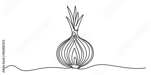 Continuous line art drawing of a minimalist sliced onion with sprouts, a black outline illustration of a fresh vegetable on a white background. Vector, illustration