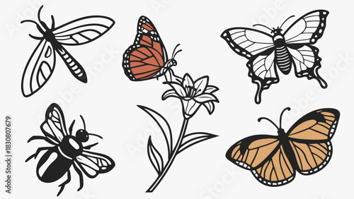 Beautiful Nature Insects and Flower Vector Set for Spring Summer Design, Eco-Friendly Branding, and Creative Web Projects