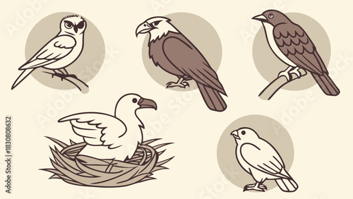 Diverse Bird Species Hand Drawn Illustration Collection for Nature Education Wildlife Conservation and Environmental Projects