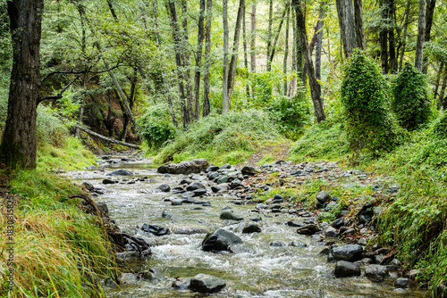 View on Diarizos River in Paphos Forest in Troodos mountains, Cyprus
