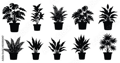 set of plants