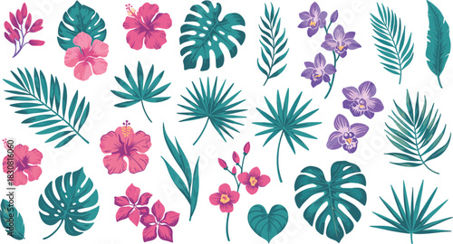 Tropical Flowers And Leaves Collection hibiscus orchid