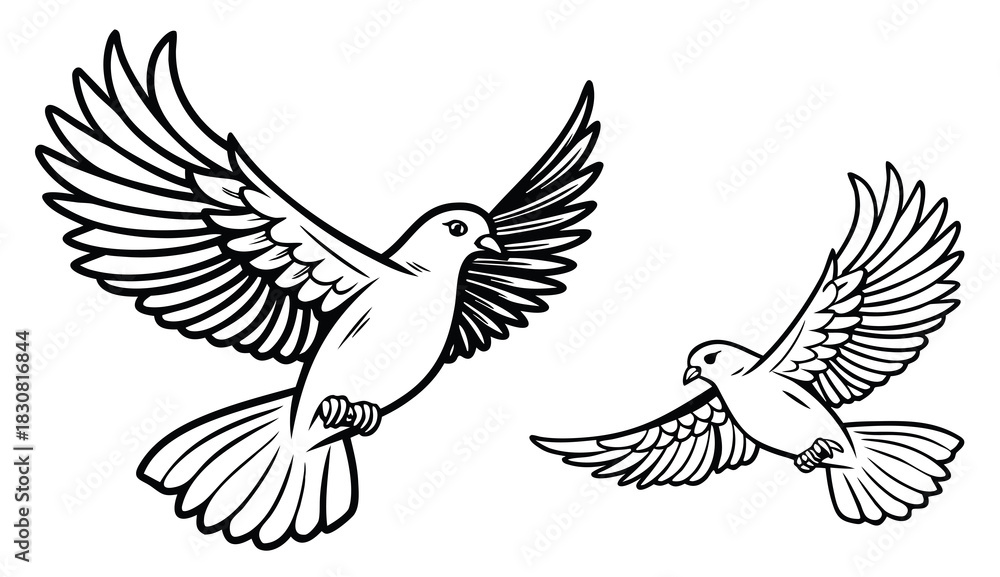 Fototapeta premium Flying Doves Line Art Illustration