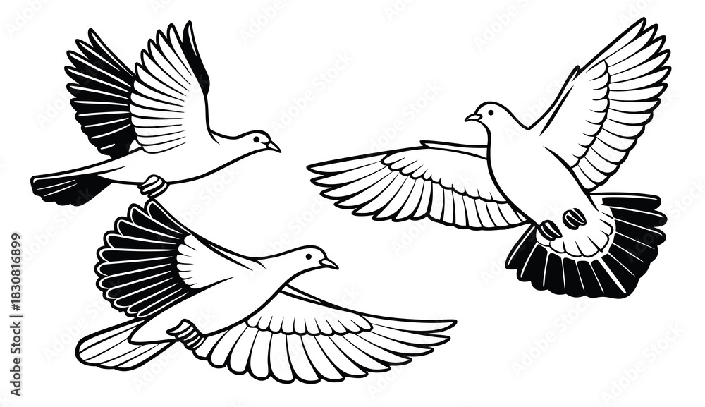 Fototapeta premium Flying Doves Line Art Illustration