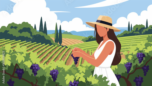 Woman harvesting grapes in vineyard Scenic view of a female farmer picking ripe purple grapes under the sunny sky