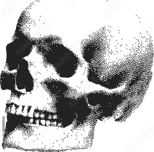 Skull sketch hand drawn stipple style side view with detailed shading. Vector illustration