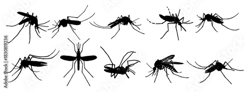 Illlustration mosquitos silhouettes set vector