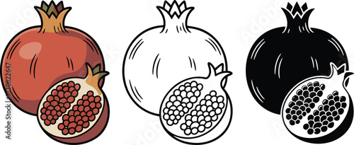 Pomegranate fruit silhouette & Outline and illustration set isolated on transparent background