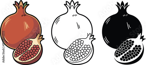 Pomegranate fruit silhouette & Outline and illustration set isolated on transparent background
