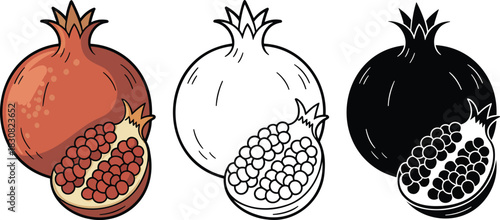 Pomegranate fruit silhouette & Outline and illustration set isolated on transparent background