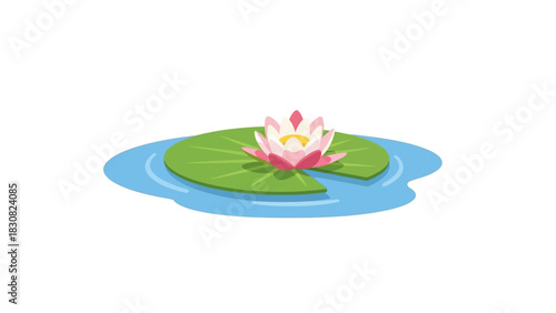Elegant Water Lily Floating on a Serene Pond A Simple Floral Illustration for Design