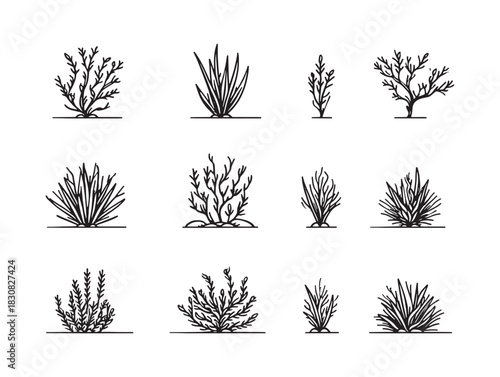 Set of bush grass shrub herb for ultra minimalist's modern natural landscape design inspiration