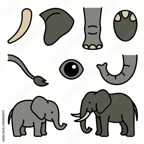 Set of cute elephant vector illustrations including body parts and whole characters for animation or design