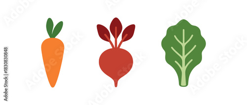 minimal icons carrot colored orange beet colored red lettuce leaf colored green
