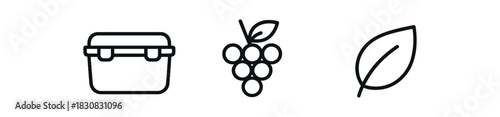 minimal icons reusable snack box black outline grape bunch icon black outline leaf icon black outline