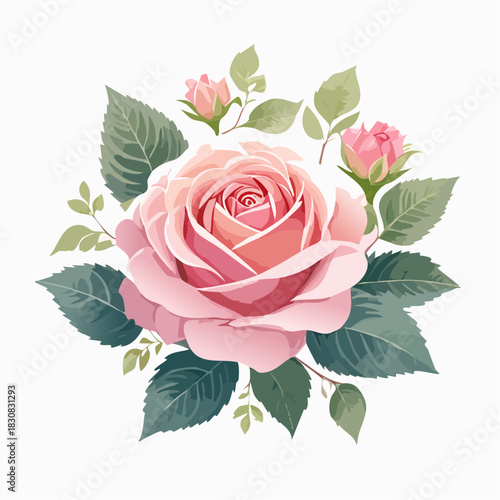Elegant Vintage Rose Illustration Detailed Floral Artwork of Pink Blossoms and Green Foliage