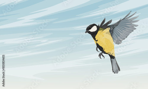 A titmouse flies against a blue sky. Realistic vector landscape.