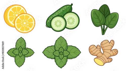 Detox ingredients for vibrant health and wellness boost your energy now