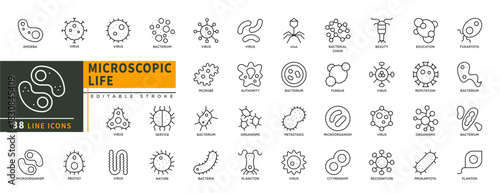 Minimalist Microscopic Life line icons set with editable stroke, featuring amoeba, virus, bacterium, protist, microorganism. fukaryota, planton, recognition, fungus, authori. thin linear illustration.