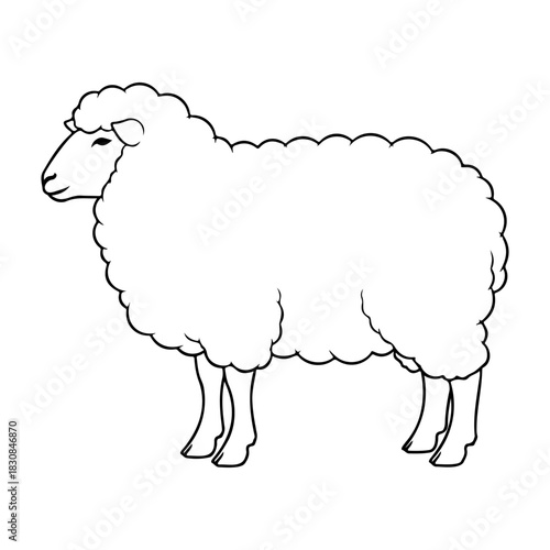 Illustration of a sheep with fluffy wool in black and white outline