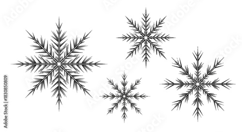 Collection of four detailed black and white snowflake illustrations on a white background.