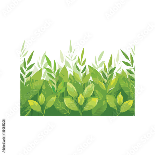 Natural fresh green leaf plant growth decoration and foliage frame illustration