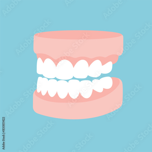 Denture icon vector. Human dental false jaw symbol flat illustration icon
