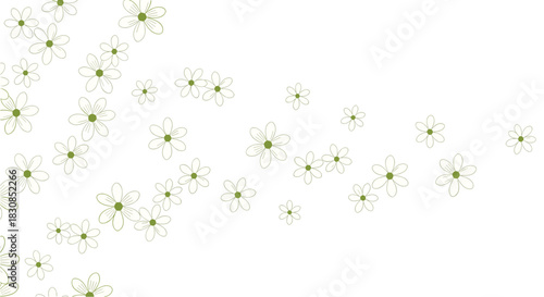 Scattered light green daisy-like flowers with thin outlines on a white background.