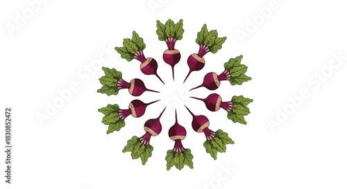 Arrangement of beetroots with green leaves in a circular pattern on a white background.