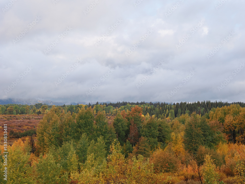 Fototapeta premium Dramatic Grand Teton mountain peaks framed by low hanging clouds and autumn colors