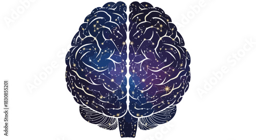 Cosmic Mind A Conceptual Representation of Knowledge and Creativity in the Human Brain