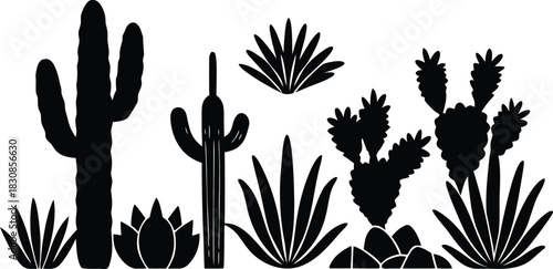 Desert plant, cactus and agave, arid flora, botanical, dry landscape, cad drawing flat silhouette vector illustration