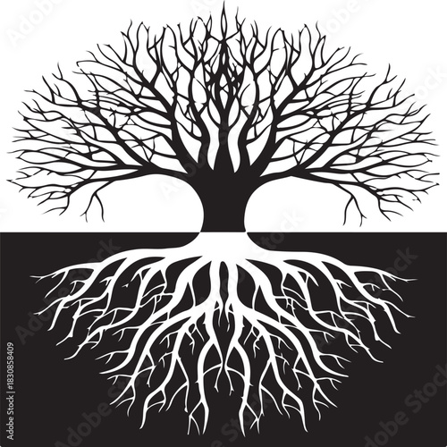 Vector tree silhouette illustration with roots, black and white design of a nature branch, and leaf symbol for life and growth