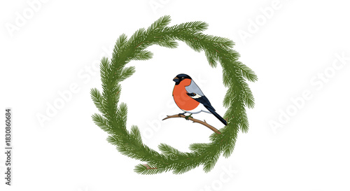 A vibrant red-breasted bullfinch perches on a branch, encircled by a beautiful green fir tree wreath, set against a clean white background.