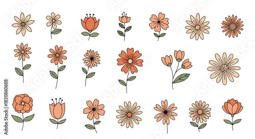 A delightful collection of hand-drawn flower illustrations in warm, natural colors, showcasing various simple floral designs.