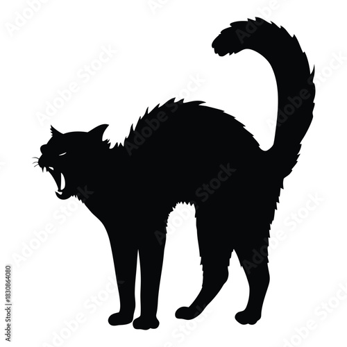 Hissing Black Cat Silhouette Vector Illustration