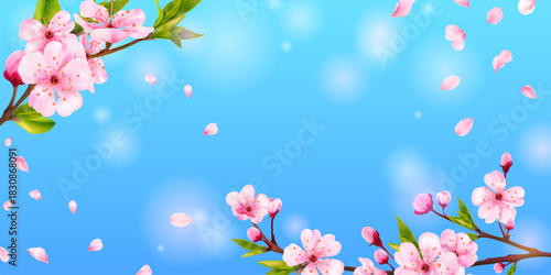 Realistic spring background. Cherry blossom with flying petals blue sunny sky panoramic landscape, japan sakura garden pink flowers on branch easter concept vector illustration