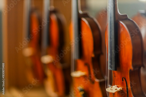 Close-up of violin instrument.