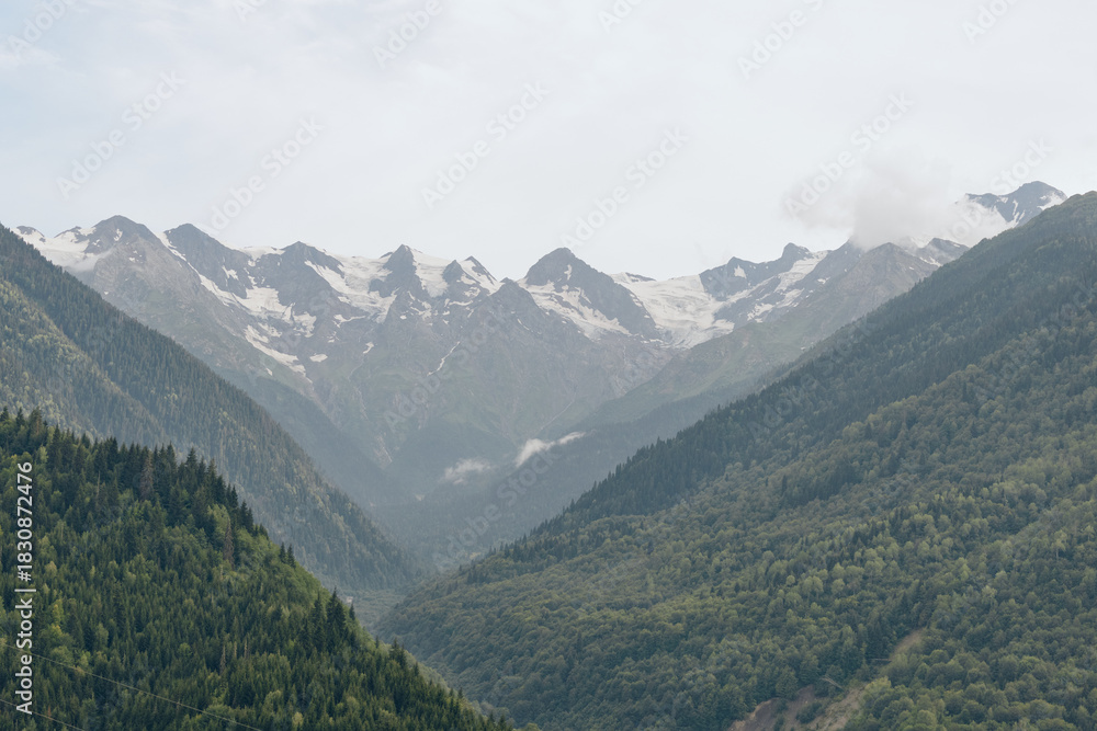 Obraz premium mountains valley forest peaks fog snow nature landscape, alpine scenery with green slopes and misty summit views for outdoor serenity