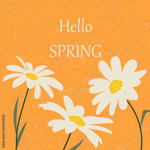 A spring card with three cute daisies on an orange background. Vector illustration for congratulating relatives, clients, friends